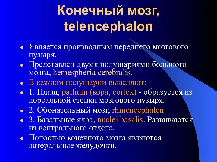 Конечный мозг, telencephalon Является производным переднего мозгового пузыря. Представлен двумя полушариями