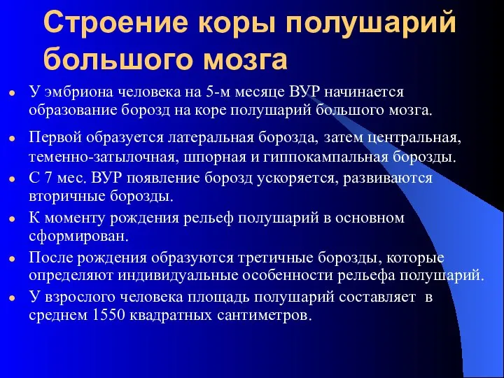 Строение коры полушарий большого мозга У эмбриона человека на 5-м месяце