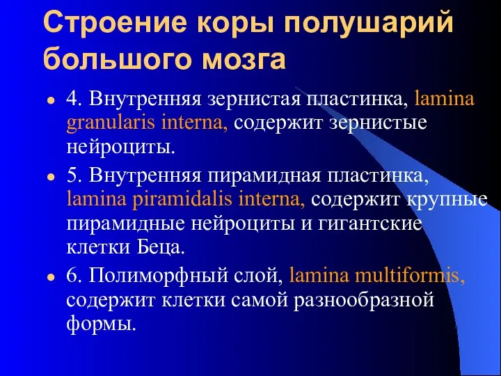 Строение коры полушарий большого мозга 4. Внутренняя зернистая пластинка, lamina granularis