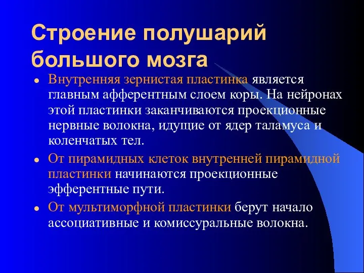 Строение полушарий большого мозга Внутренняя зернистая пластинка является главным афферентным слоем