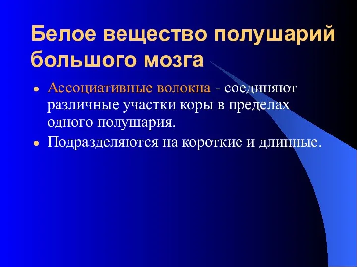 Белое вещество полушарий большого мозга Ассоциативные волокна - соединяют различные участки