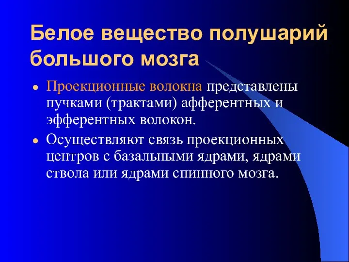 Белое вещество полушарий большого мозга Проекционные волокна представлены пучками (трактами) афферентных