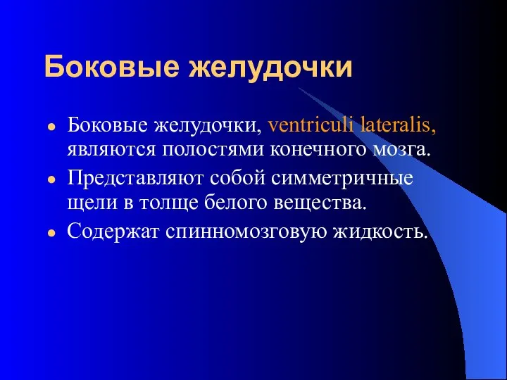 Боковые желудочки Боковые желудочки, ventriculi lateralis, являются полостями конечного мозга. Представляют