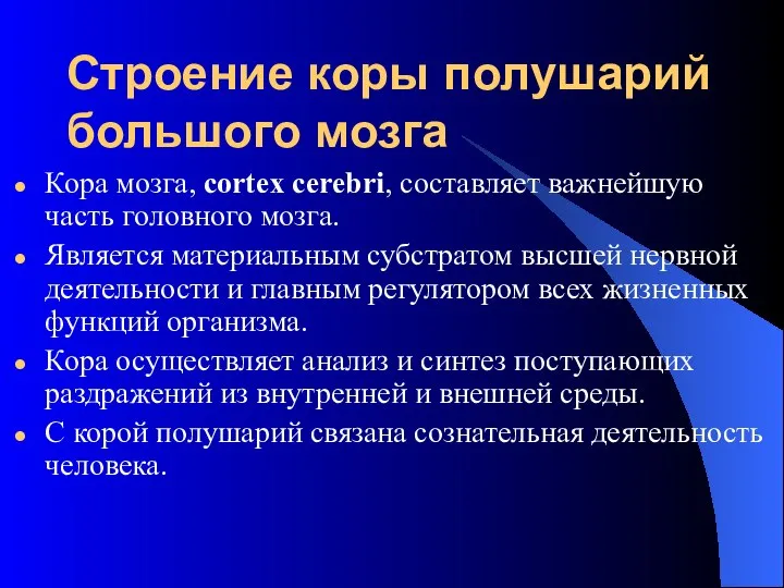 Строение коры полушарий большого мозга Кора мозга, cortex cerebri, составляет важнейшую