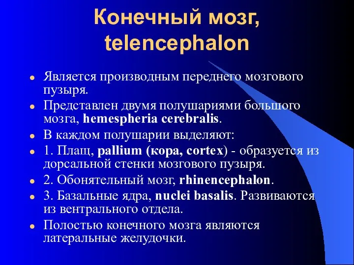 Конечный мозг, telencephalon Является производным переднего мозгового пузыря. Представлен двумя полушариями