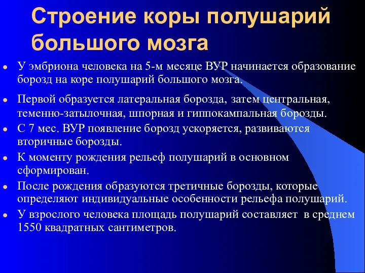 Строение коры полушарий большого мозга У эмбриона человека на 5-м месяце