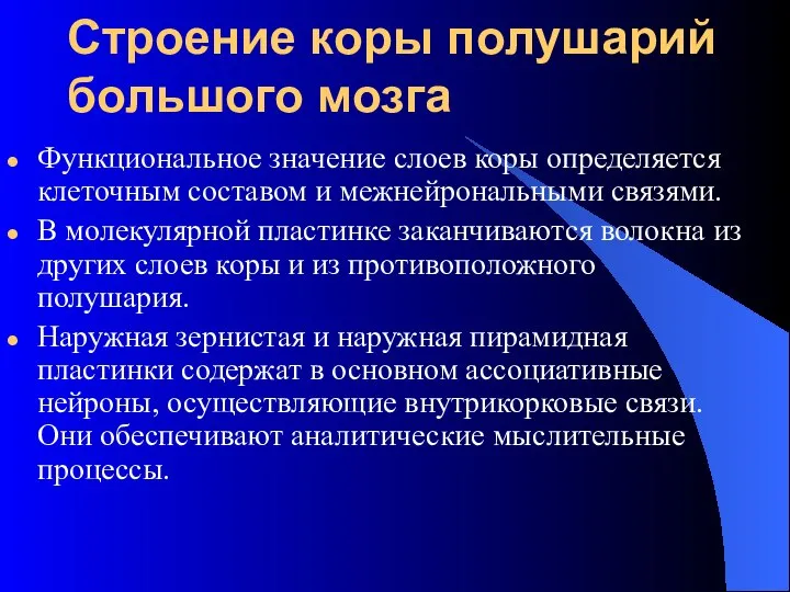 Строение коры полушарий большого мозга Функциональное значение слоев коры определяется клеточным