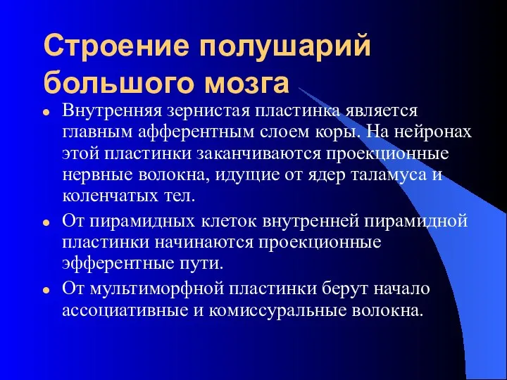 Строение полушарий большого мозга Внутренняя зернистая пластинка является главным афферентным слоем