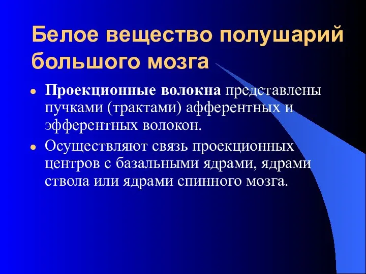 Белое вещество полушарий большого мозга Проекционные волокна представлены пучками (трактами) афферентных