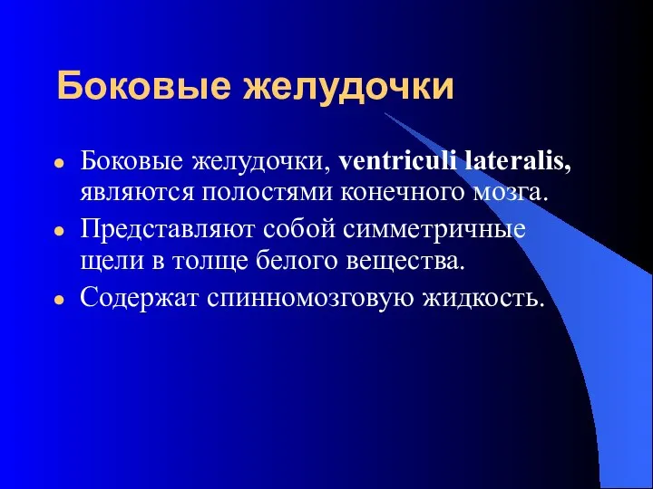 Боковые желудочки Боковые желудочки, ventriculi lateralis, являются полостями конечного мозга. Представляют