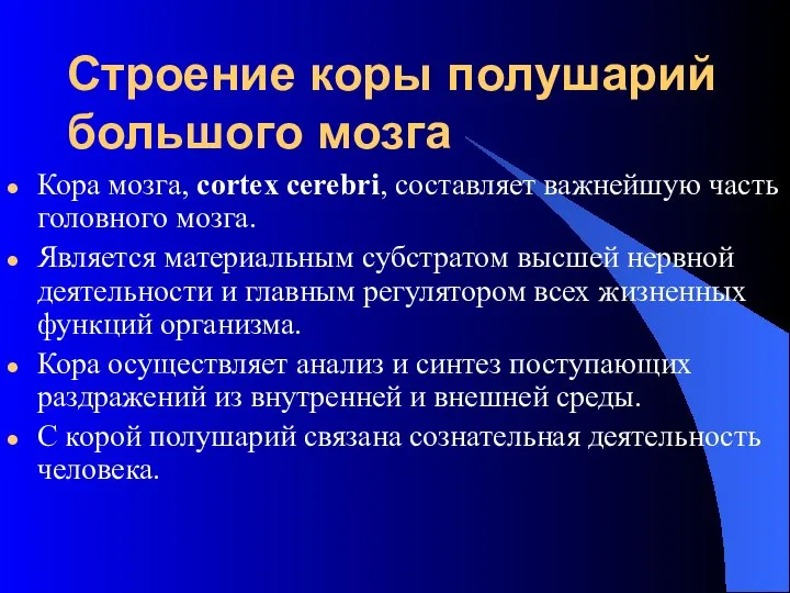 Строение коры полушарий большого мозга Кора мозга, cortex cerebri, составляет важнейшую