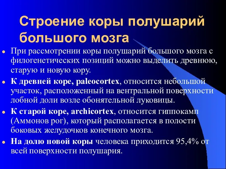 Строение коры полушарий большого мозга При рассмотрении коры полушарий большого мозга