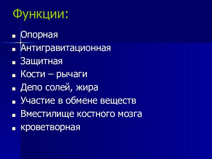 Функции: Опорная Антигравитационная Защитная Кости – рычаги Депо солей, жира Участие