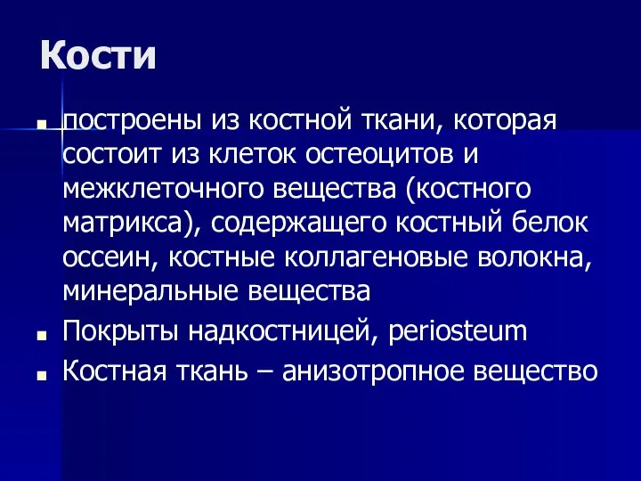 Кости построены из костной ткани, которая состоит из клеток остеоцитов и