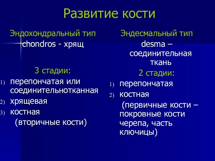 Развитие кости Эндохондральный тип chondros - хрящ 3 стадии: перепончатая или