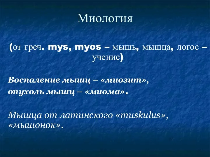 Миология (от греч. mys, myos – мышь, мышца, логос – учение)