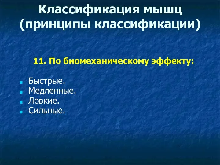 Классификация мышц (принципы классификации) 11. По биомеханическому эффекту: Быстрые. Медленные. Ловкие. Сильные.