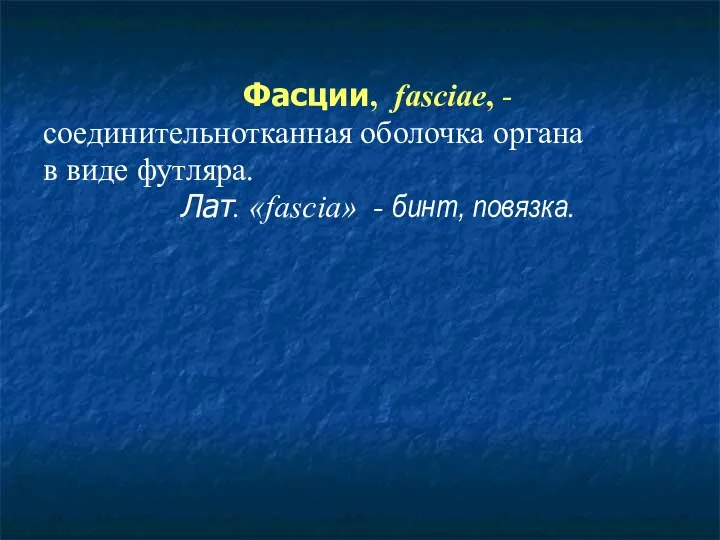 Фасции, fasciae, - соединительнотканная оболочка органа в виде футляра. Лат. «fascia» - бинт, повязка.