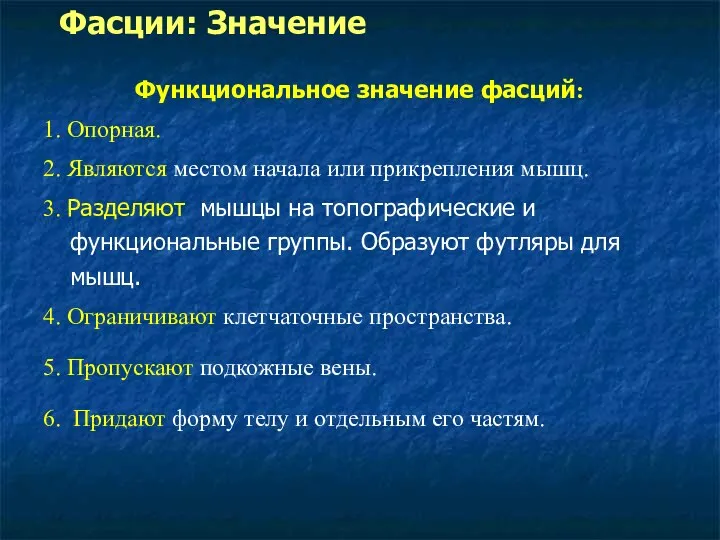 Функциональное значение фасций: 1. Опорная. 2. Являются местом начала или прикрепления