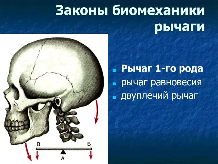 Законы биомеханики рычаги Рычаг 1-го рода рычаг равновесия двуплечий рычаг