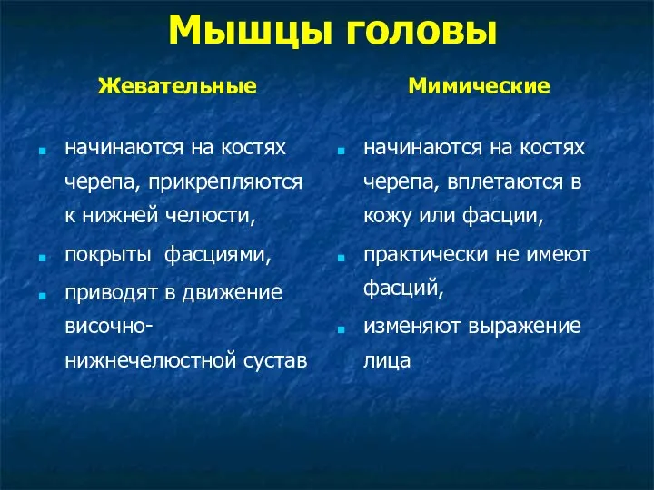 Мышцы головы Жевательные начинаются на костях черепа, прикрепляются к нижней челюсти,