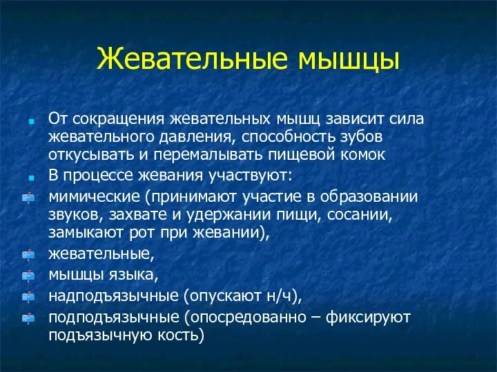 Жевательные мышцы От сокращения жевательных мышц зависит сила жевательного давления, способность