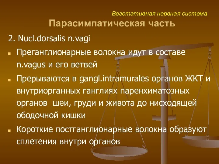 2. Nucl.dorsalis n.vagi Преганглионарные волокна идут в составе n.vagus и его