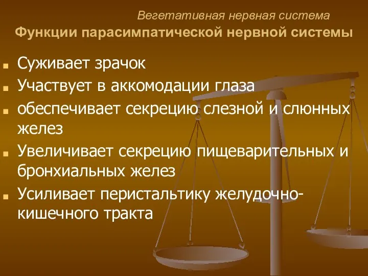 Вегетативная нервная система Функции парасимпатической нервной системы Суживает зрачок Участвует в