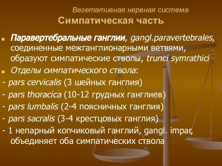 Вегетативная нервная система Симпатическая часть Паравертебральные ганглии, gangl.paravertebrales, соединенные межганглионарными ветвями,