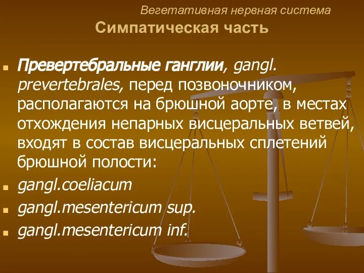 Вегетативная нервная система Симпатическая часть Превертебральные ганглии, gangl. prevertebrales, перед позвоночником,