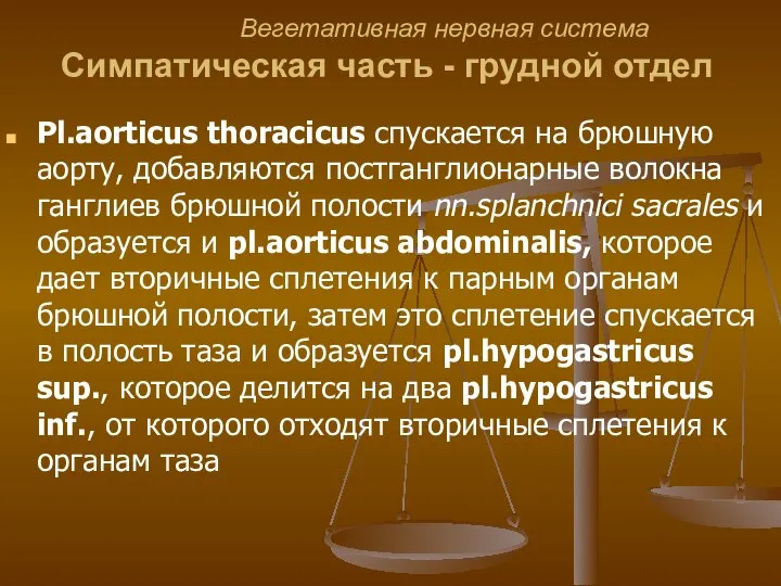 Вегетативная нервная система Cимпатическая часть - грудной отдел Pl.aorticus thoracicus спускается