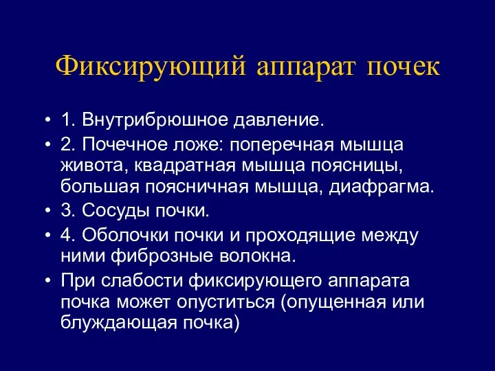 Фиксирующий аппарат почек 1. Внутрибрюшное давление. 2. Почечное ложе: поперечная мышца