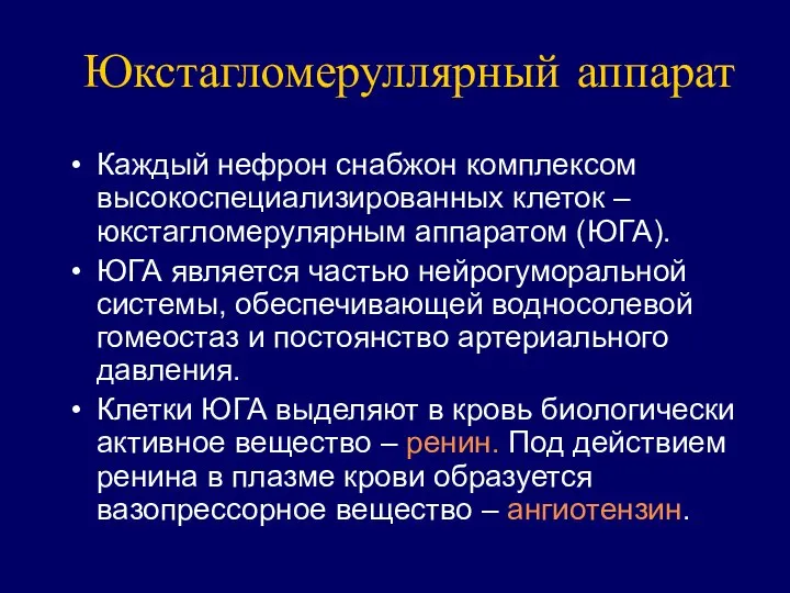 Юкстагломеруллярный аппарат Каждый нефрон снабжон комплексом высокоспециализированных клеток – юкстагломерулярным аппаратом