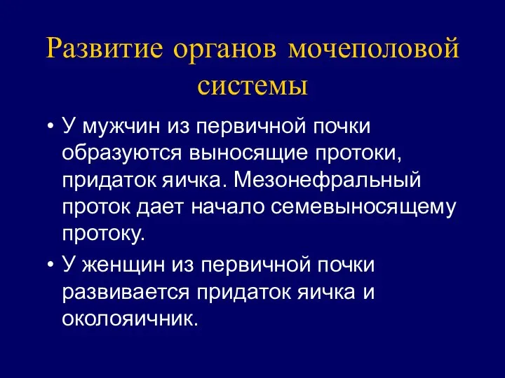 Развитие органов мочеполовой системы У мужчин из первичной почки образуются выносящие