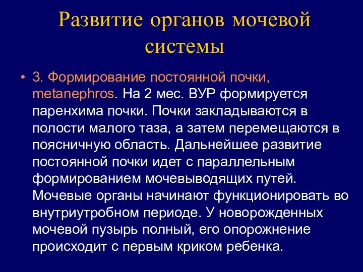 Развитие органов мочевой системы 3. Формирование постоянной почки, metanephros. На 2