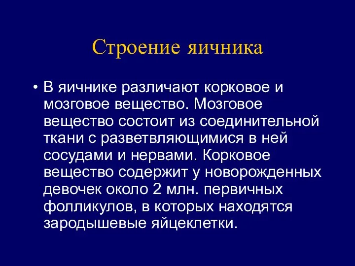 Строение яичника В яичнике различают корковое и мозговое вещество. Мозговое вещество