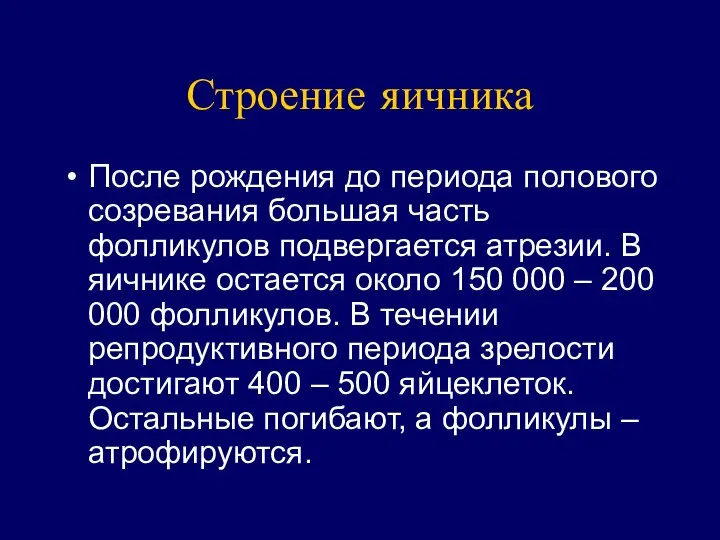 Строение яичника После рождения до периода полового созревания большая часть фолликулов