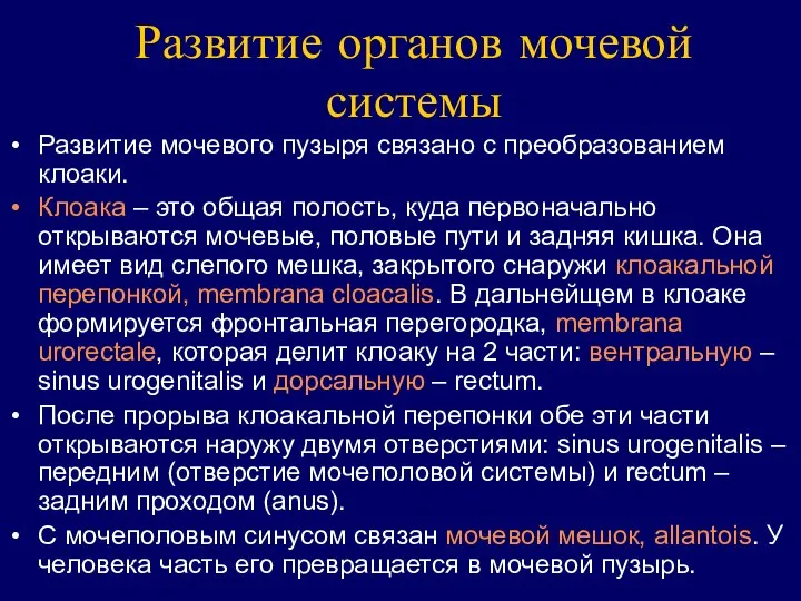 Развитие органов мочевой системы Развитие мочевого пузыря связано с преобразованием клоаки.