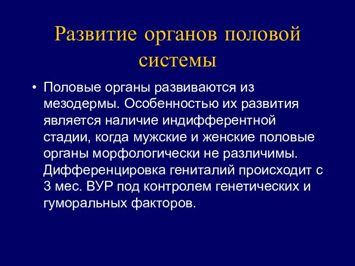 Развитие органов половой системы Половые органы развиваются из мезодермы. Особенностью их