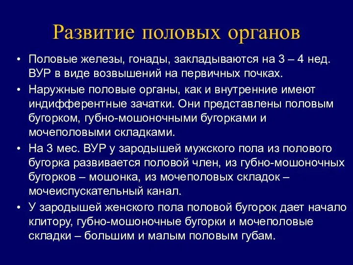 Развитие половых органов Половые железы, гонады, закладываются на 3 – 4