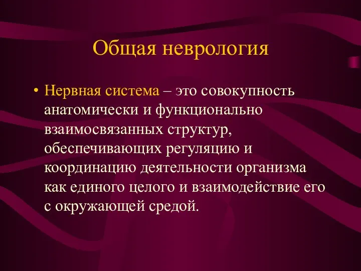 Общая неврология Нервная система – это совокупность анатомически и функционально взаимосвязанных