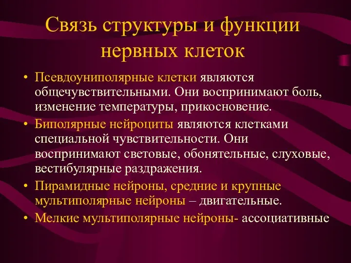 Связь структуры и функции нервных клеток Псевдоуниполярные клетки являются общечувствительными. Они