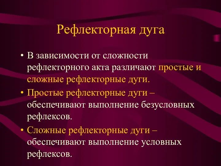 Рефлекторная дуга В зависимости от сложности рефлекторного акта различают простые и