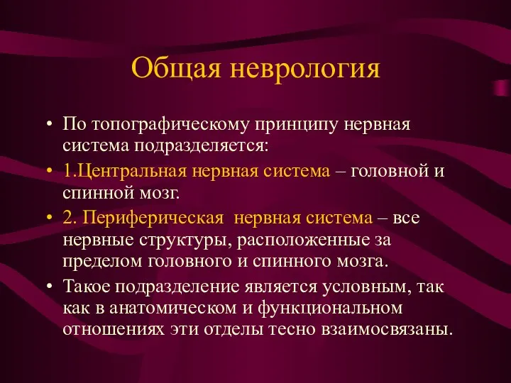 Общая неврология По топографическому принципу нервная система подразделяется: 1.Центральная нервная система