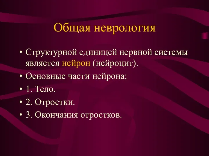 Общая неврология Структурной единицей нервной системы является нейрон (нейроцит). Основные части