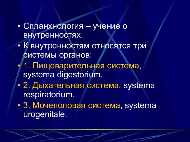 Спланхнология – учение о внутренностях. К внутренностям относятся три системы органов: