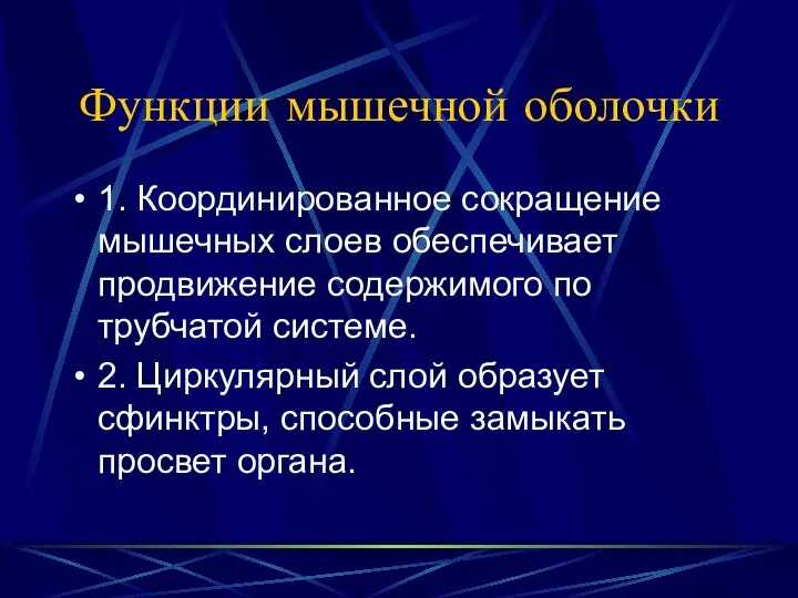 Функции мышечной оболочки 1. Координированное сокращение мышечных слоев обеспечивает продвижение содержимого