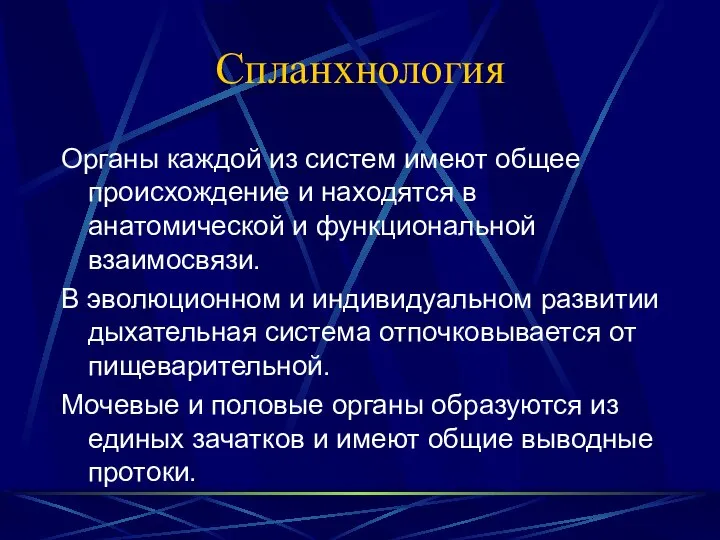 Спланхнология Органы каждой из систем имеют общее происхождение и находятся в