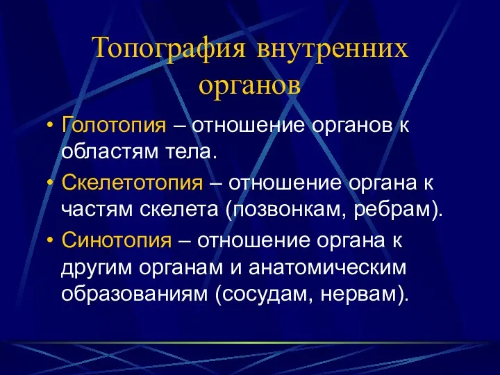 Топография внутренних органов Голотопия – отношение органов к областям тела. Скелетотопия