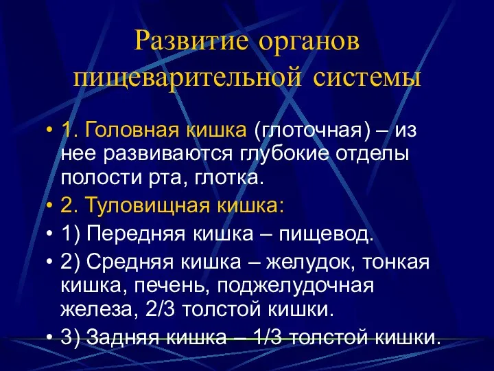 Развитие органов пищеварительной системы 1. Головная кишка (глоточная) – из нее